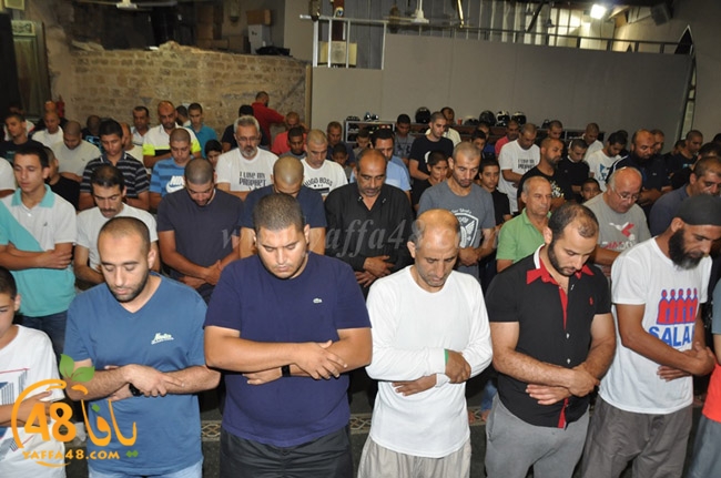 qader yaffa msajed (63).JPG